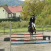 Babie Lato 2016